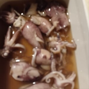 柔らか！丸ごとヒイカの煮物